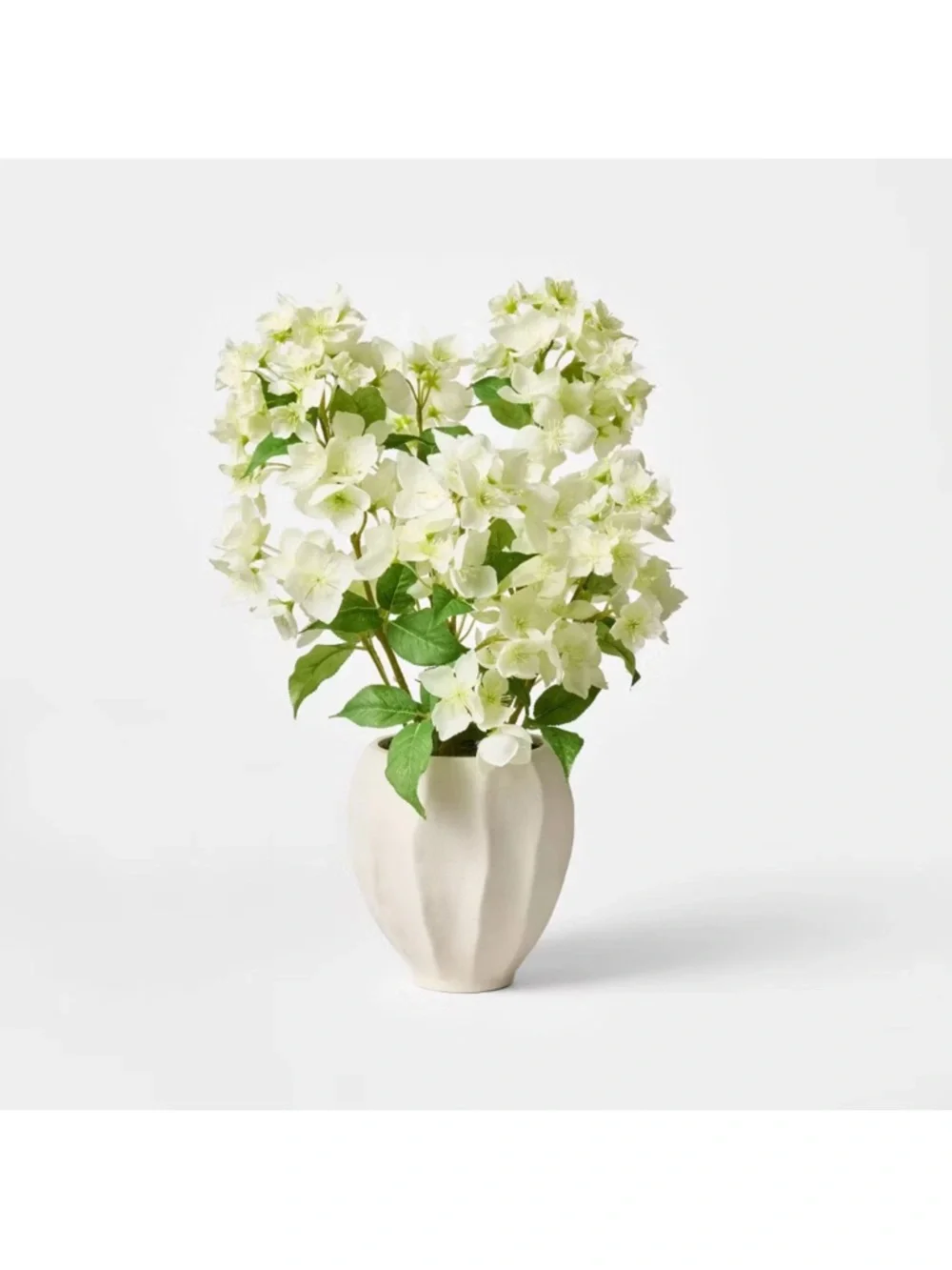 Hydrangea Arrangement Cream with Scallop Vase Threshold designed w/ Studio McGee